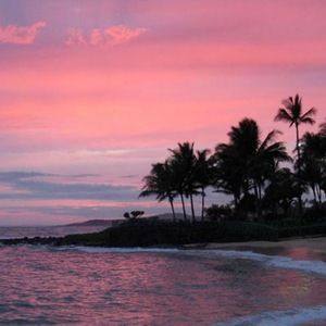 Meet your Posher, Chloe